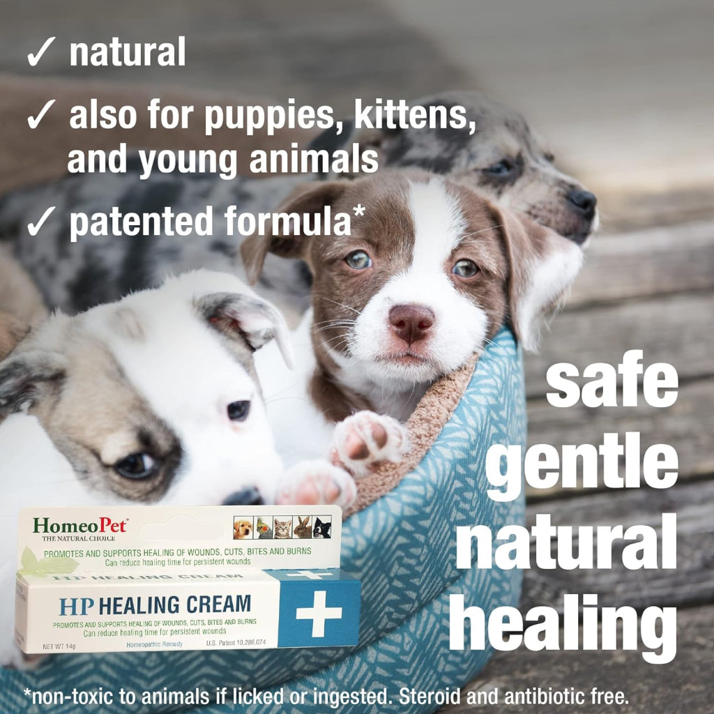 HomeoPet HP Healing Wound Cream For Pets (14 g)