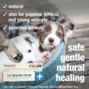 HomeoPet HP Healing Wound Cream For Pets (14 g)