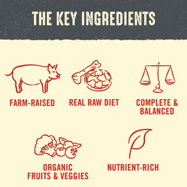 Stella & Chewy's Purely Pork Dinner Patties Freeze-Dried Raw Food for Dogs (14 oz)