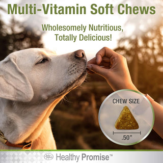 Four Paws Healthy Promise Multivitamin Soft Chews Supplement For Dogs (120 ct)