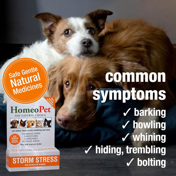 HomeoPet Storm Stress For Pets (15 ml)