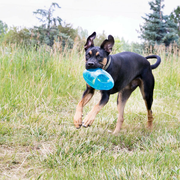 Kong Jumbler Football Toy For Dogs - Medium/Large (color varies)