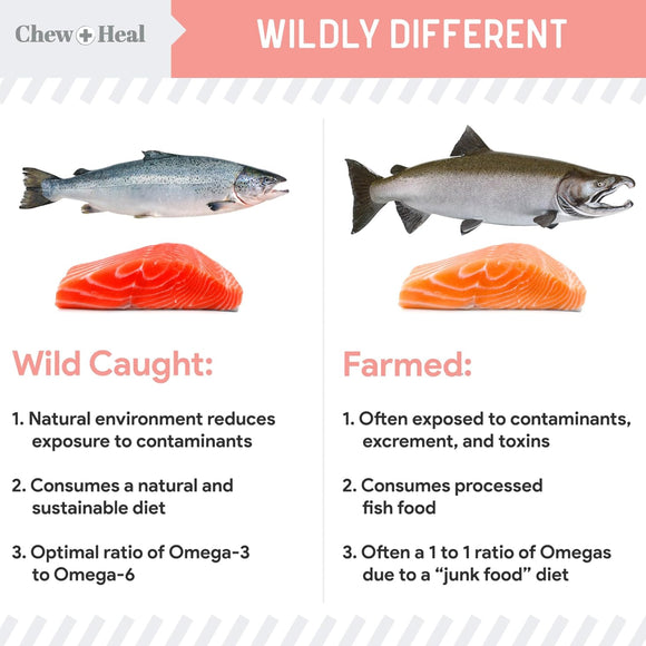 Chew + Heal Wild Alaskan Salmon Oil Formula for Healthy Skin and Coat For Dogs