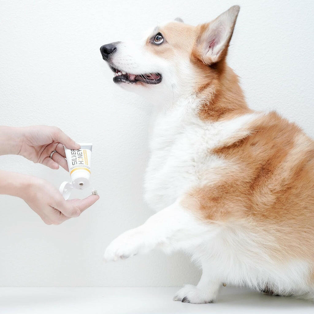 This antibacterial ointment for pets is used to treat and protect hot spots, wounds, cuts, rashes, and abrasions on pets, promoting rapid healing and preventing infection.