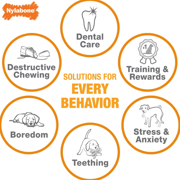 Nylabone Puppy Triple Pack Treat & Chew for Puppies- Variety Pack