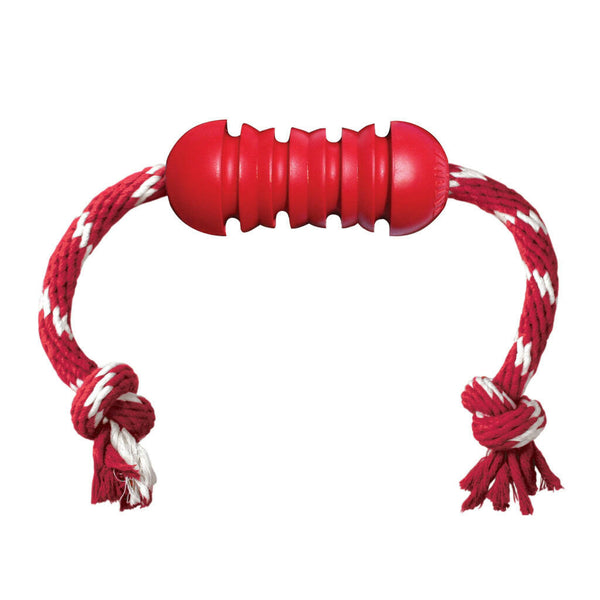 Kong Dental with Rope Toy For Dogs (Small)