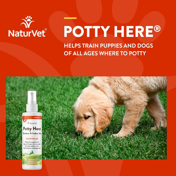 NaturVet Potty Here Training Aid Spray for Indoor & Outdoor Use (8 oz)