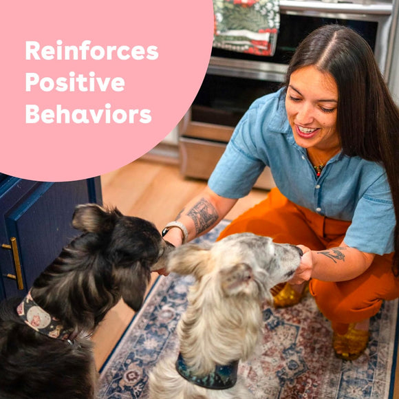 Pupford Train Freeze-Dried Beef Liver Training Treats for Dogs (4 oz)