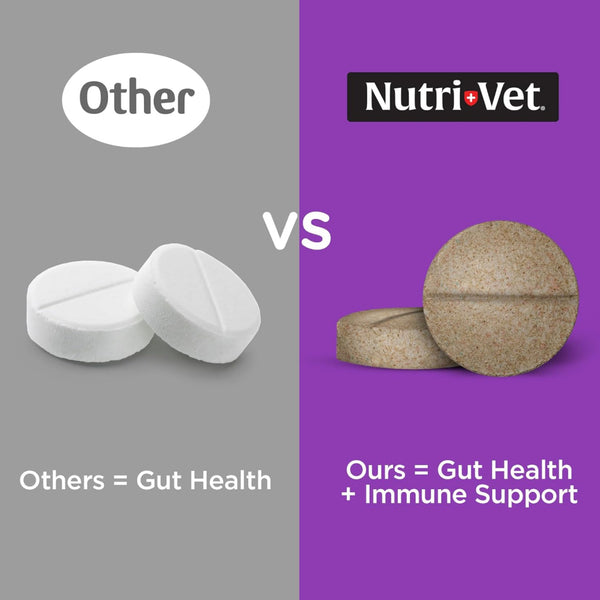 Nutri-Vet Bladder Control Supplement for Dogs to Help Prevent Incontinence (90 chewable tablets)