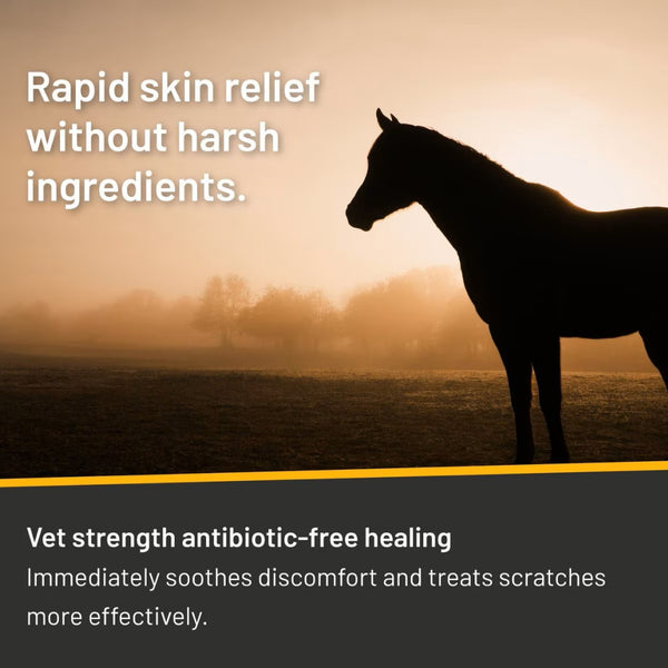 Absorbine Silver Honey Rapid Skin Relief Vet Strength Scratches Spray For Horses (6 oz)