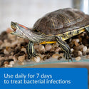 API Turtle Fix Antibacterial Turtle Remedy (8 oz)