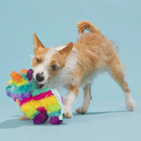 BARK Full o' Fluff Pinata Squeaky Plush Dog Toy