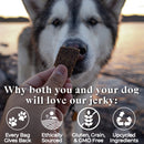 OTIS Wild Things Bison Jerky Treats for Dogs (4 oz)