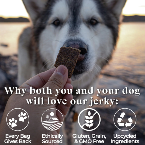 OTIS Wild Things Bison Jerky Treats for Dogs (4 oz)