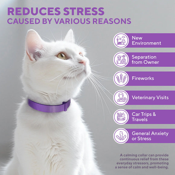 Beloved Pets Relaxiv Pheramone Improved DE-Stress Formula Calming Collar for Cats