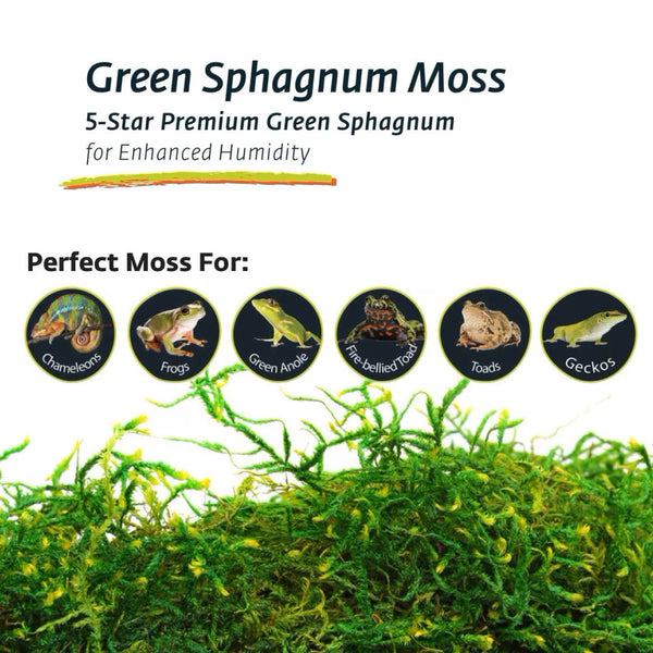 Galapagos 5- Star Premium Terrarium Sphagnum Moss for Enhanced Humidity- Fresh Green