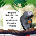 Lafeber Tropical Fruit Nutri-Berries Parrot Food