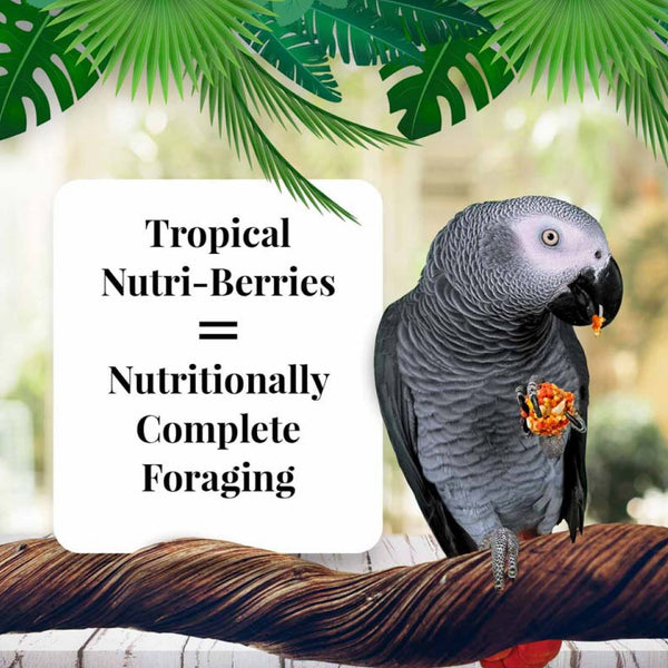 Lafeber Tropical Fruit Nutri-Berries Parrot Food