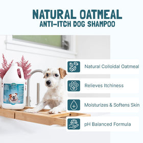 Bio Groom Natural Oatmeal Soothing Anti-Itch Shampoo For Dogs