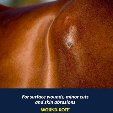 Farnam Wound Kote Blue Lotion Spray Wound Dressing For Horses & Dogs (5 oz)