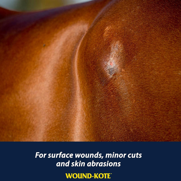 Farnam Wound Kote Blue Lotion Spray Wound Dressing For Horses & Dogs (5 oz)
