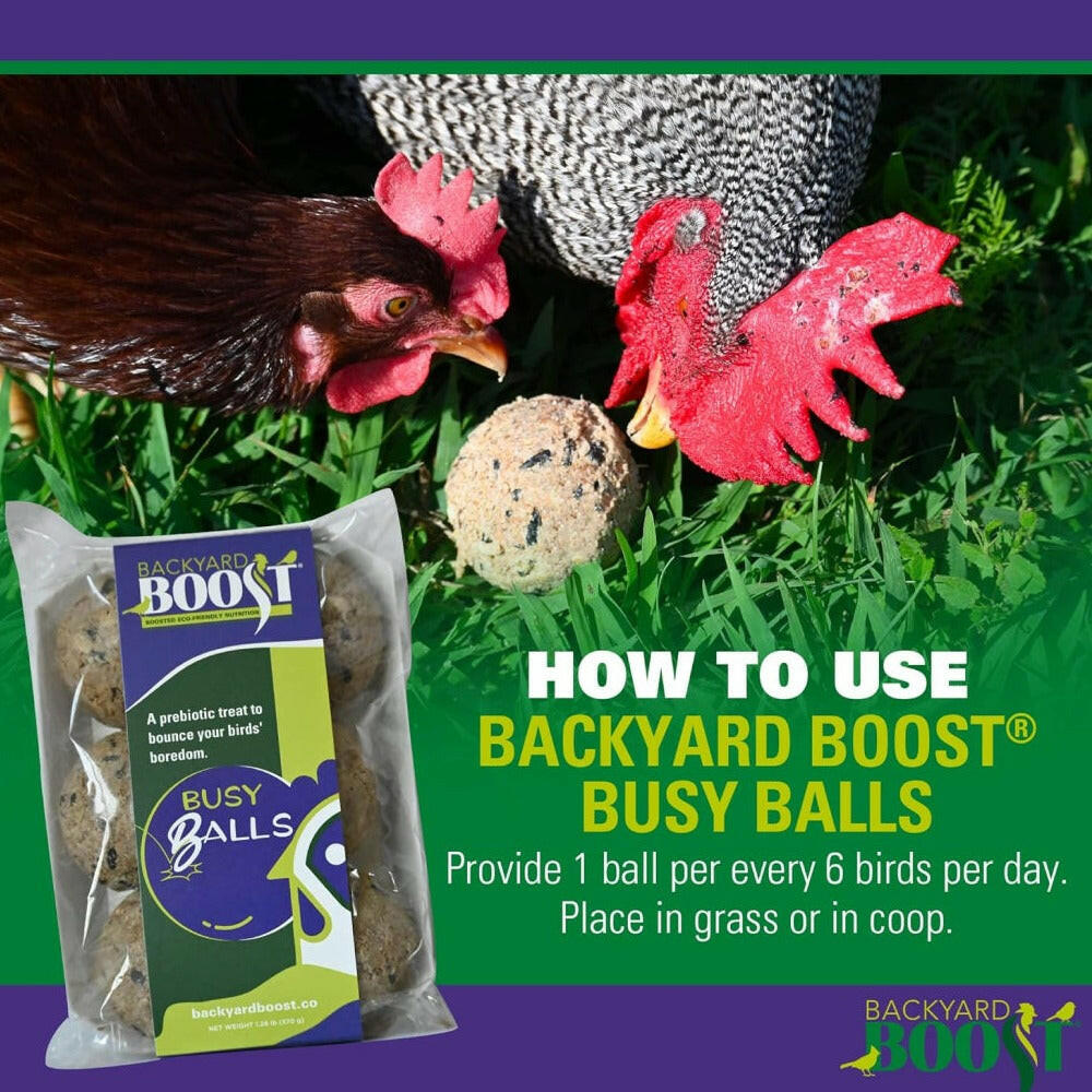 Backyard Boot Busy Balls For Digestion and Gut Health for Chickens (6 balls)