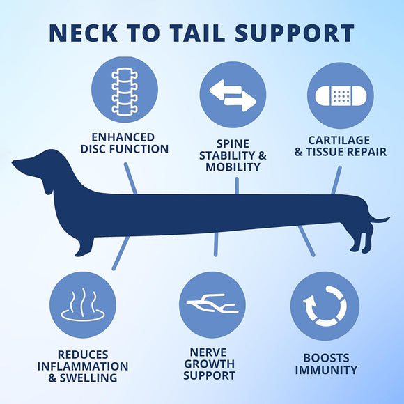 Under The Weather Disc & Spine Vet Strength Support for Dogs (60 soft chews)