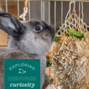 Oxbow Timothy CLUB Timothy Twists Small Animal Treats -6 Counts