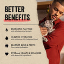 Vital Essentials Freeze-Dried Raw Chicken Hearts Treats For Cats (0.8 oz)