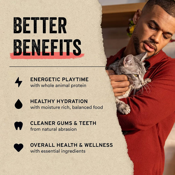 Vital Essentials Freeze-Dried Raw Chicken Hearts Treats For Cats (0.8 oz)