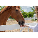 Stud Muffins Variety Pack Horse Treats (45 oz bag)