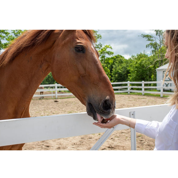 Stud Muffins Variety Pack Horse Treats (45 oz bag)