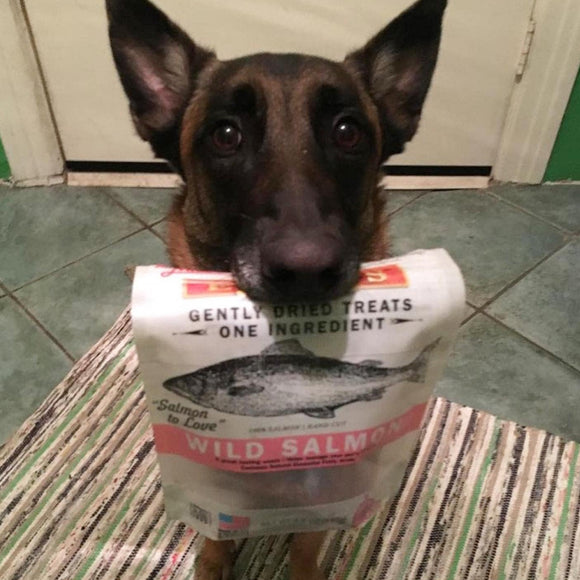 Evanger's Nothing but Natural Gently Air Dried Wild Salmon Dog & Cat Treats (3.5 oz)