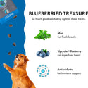 Shameless Pets Blueberried Treasure Soft Baked Treats For Dogs (6 oz)