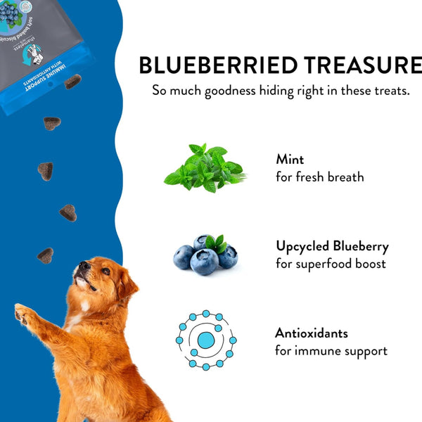 Shameless Pets Blueberried Treasure Soft Baked Treats For Dogs (6 oz)