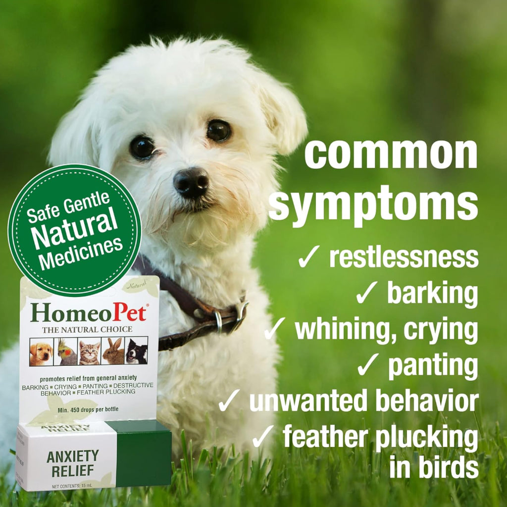 HomeoPet Anxiety Relief For Cats & Dogs (15 ml)