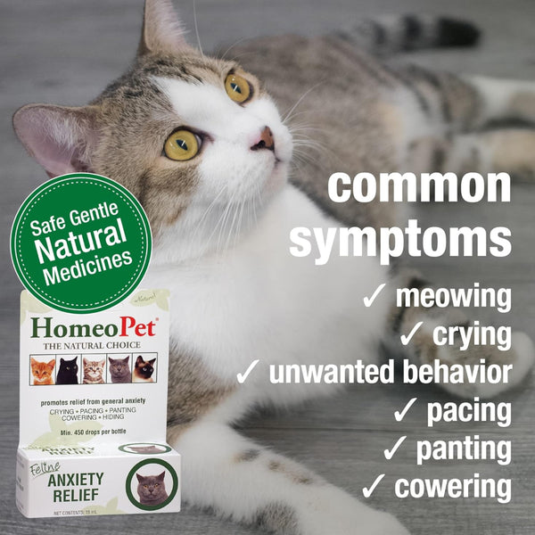 HomeoPet Feline Anxiety Relief For Cats (15 ml)