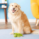 Kong Cozie Ali Alligator Squeaky Plush Toy For Dogs (Small Size)