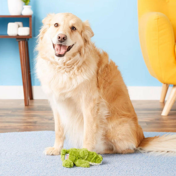 Kong Cozie Ali Alligator Squeaky Plush Toy For Dogs (Small Size)