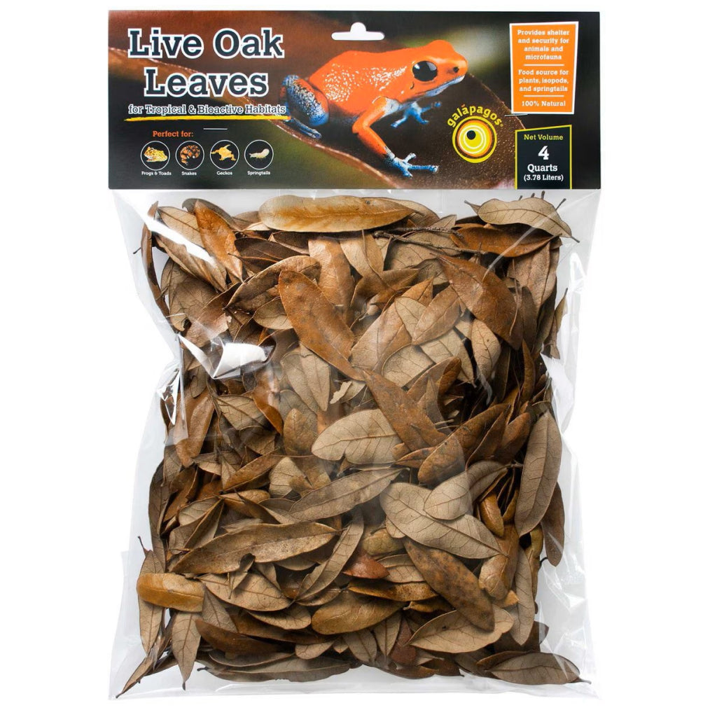 Galapagos Natural Live Oak Leaf Reptile Litter - Bioactive Habitat