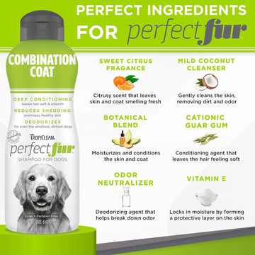 TropiClean PerfectFur Combination Coat Shampoo for Dogs (16 oz)