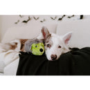 Zippypaws Halloween Hedgehog Frankenstein's Monster Plush Toy (Large)