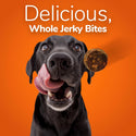 Fruitables Whole Jerky Bites Alaskan Salmon & Pear Treats For Dogs (5 oz)