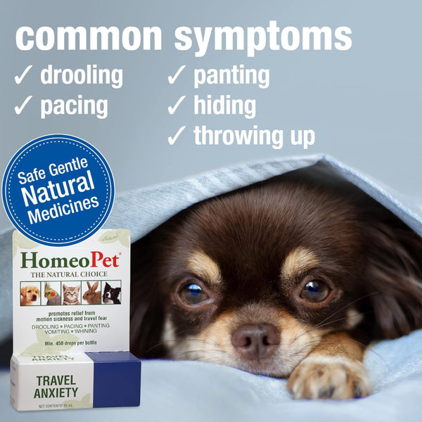 HomeoPet Travel Anxiety for Pets (15 ml)