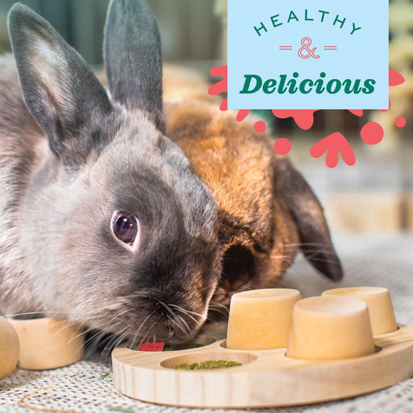 Oxbow Simple Rewards Freeze Dried Strawberry Small Animal Treats (0.5 oz)