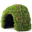 Galapagos Mossy Dome Terrarium Hideaway For Reptiles & Amphibians