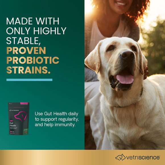 Gut Health Chews for Dogs