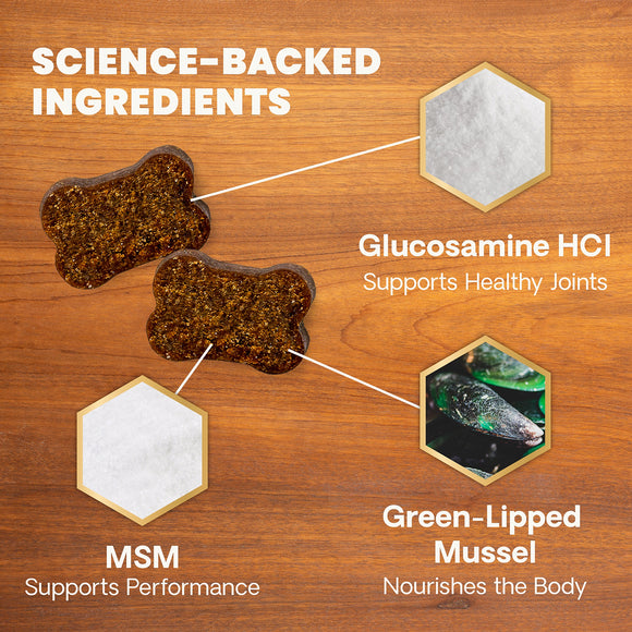 Extra Strength Healthy Hip & Joint Chews for Dogs Chicken Flavor