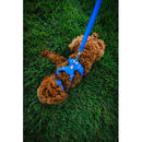 Ruffwear Front Range Dog Collar- Basalt Gray Neck Collar