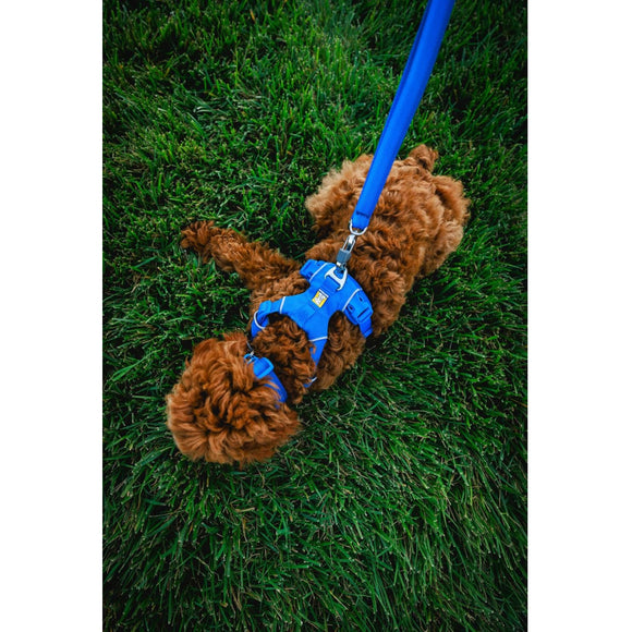 Ruffwear Front Range Dog Collar- Basalt Gray Neck Collar